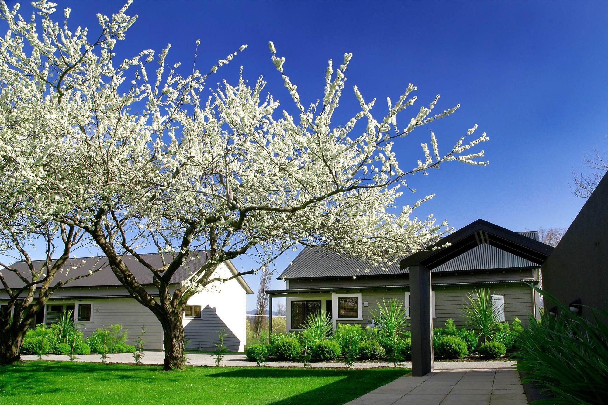 Parehua Resort Martinborough Esterno foto Residential area in the town
